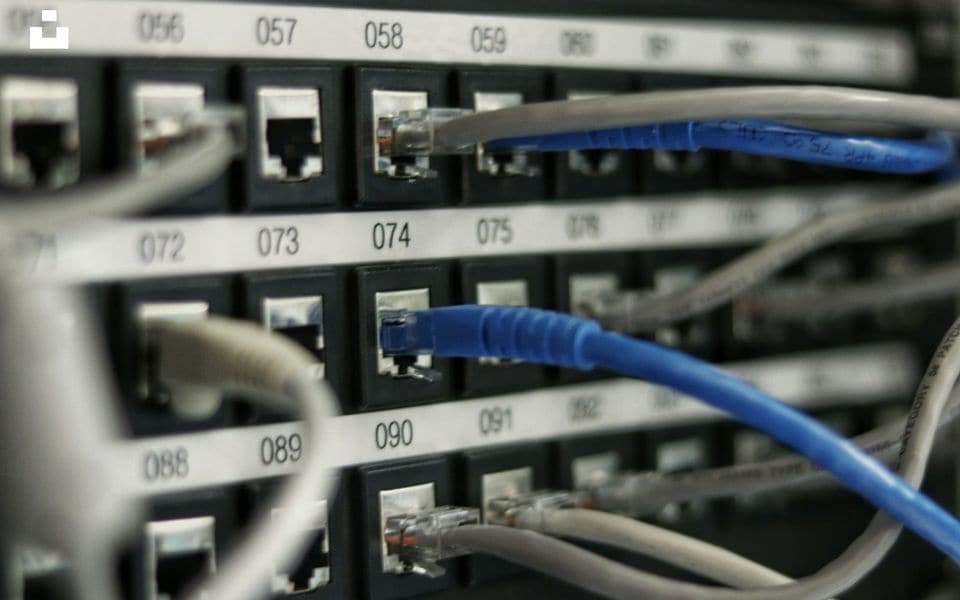 Ethernet patch cables plugged into RJ45 ports on a telecommunications patch panel